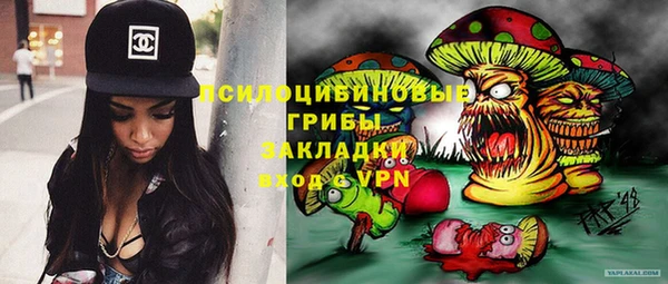 первитин Ельня