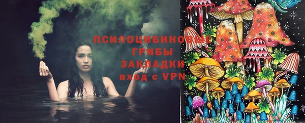 первитин Ельня